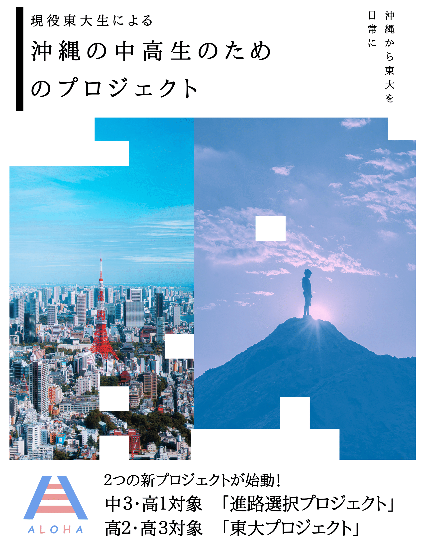 東大プロジェクトのポスター